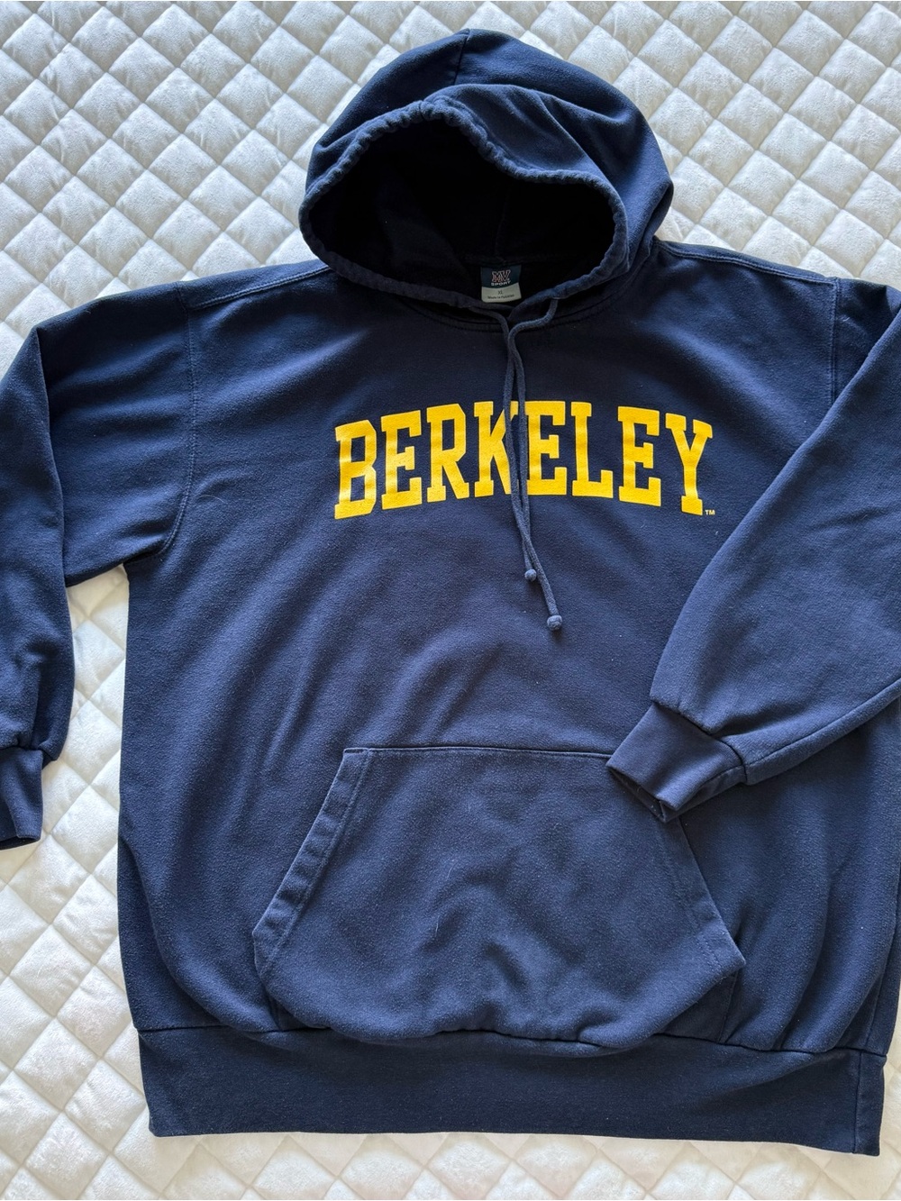 Berkeley College Navy Vintage Hoodie with Gold BERKELEY Lettering - Size XL